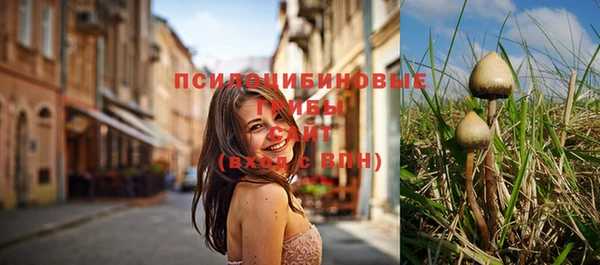 первитин Михайловск