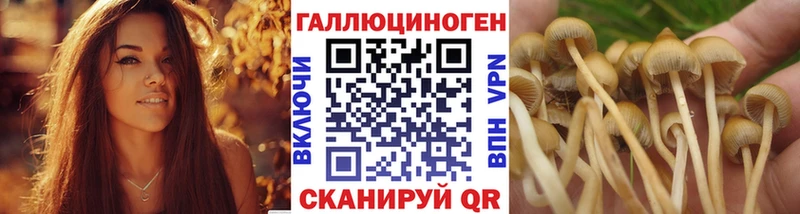 Галлюциногенные грибы мухоморы  Шиханы 